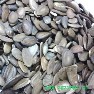 川瓜米  四川统货  库存5000可售图2