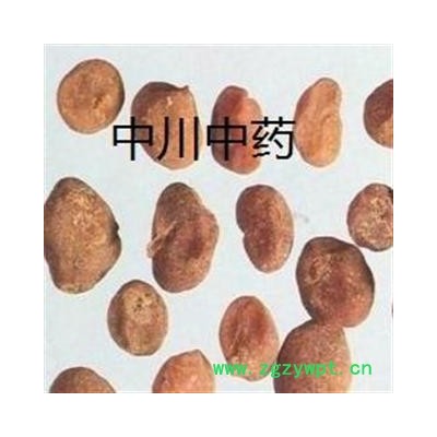 土贝母  陕西统货  库存5000可售