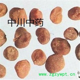 土贝母  陕西统货  库存5000可售图3