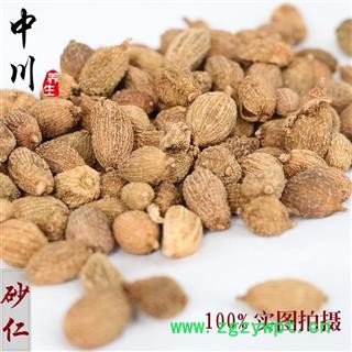 砂仁  缅甸进口 库存5000图3