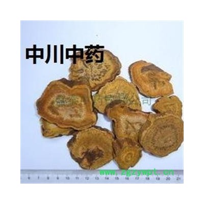 野生大黄，四川一级统统，库存5000可售