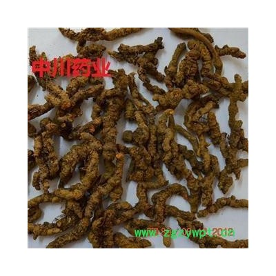 黄连  产地重庆  药材地道  好药好  库存3000可售