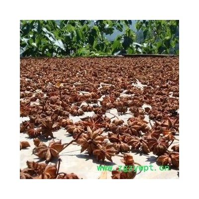 八角茴香  广西一级统货  库存5000可售