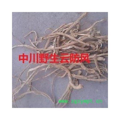 中川精品道地药材野生云防风  产地云南