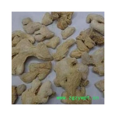 优质 干姜 批发 零售