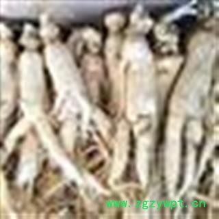 白参 统 产地 吉林省图2