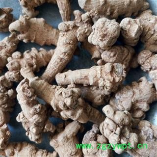 三七 三七60头不打蜡三七 云南文山产地直销 质量保证 无需担心 承诺15天无理由退 产地 云南省文山壮族苗族自治州文山县图2