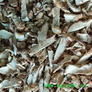 知母 统 产地 安徽省图2