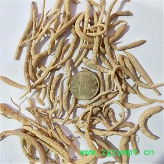 太子参 太子参中选240 产地 贵州省图2