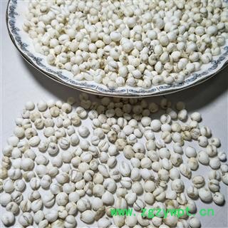 平贝母 手选尖头珍珠0.6平贝 产地 吉林省图2