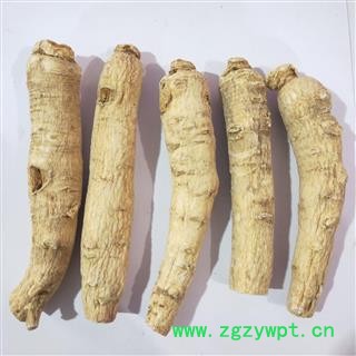西洋参 新到西洋参大个。纯干无硫磺无虫蛀无药残干净无杂质实物拍摄 产地 吉林省图4