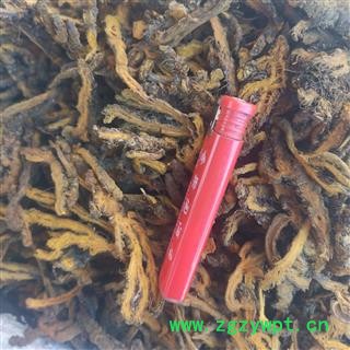 黄连 黄连散枝统片 产地 重庆市图4