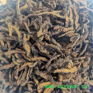 黄连 黄连散枝统片 产地 重庆市图3