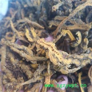 黄连 黄连散枝统片 产地 重庆市图2