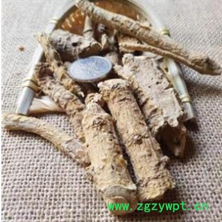 鸡骨香 统 产地 天津市图2