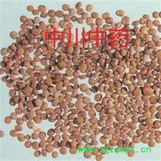 急性子  山东一级统货  库存5000可售图2