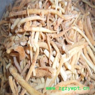 川明参，四川一级统货，库存5000可售图2