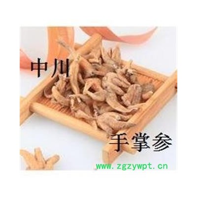 正品 野生手掌参  精选    西藏精选货  可存500可售