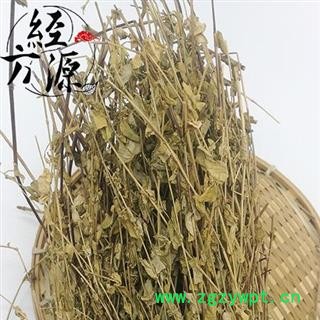 川龙胆草 龙胆（南龙胆）统 产地四川图3