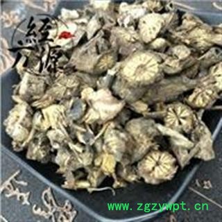 破骨风B 破膝风 花木通 钻骨风 老鹰柴 破风藤  统 产地 湖北省图2