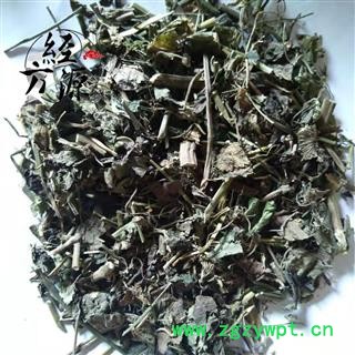 骚羊古 山当归 瘙疡股 马蹄防风 阳山臭图4