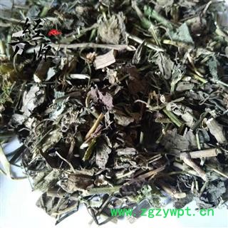 骚羊古 山当归 瘙疡股 马蹄防风 阳山臭图2