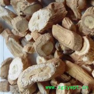 中药材 板蓝根 优质图3