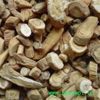 中药材 板蓝根 优质图2