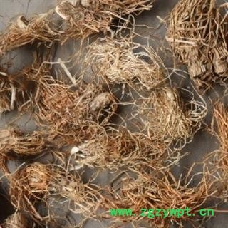 冷背中药材 糯稻根 稻根 正品 优质 促销图2