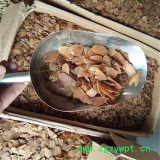 京辉药业 红参片 小片 无糖 新货 精选5年参图2