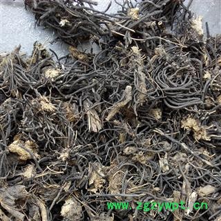 威灵仙 统 产地 辽宁省图2