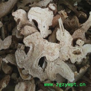 白术 统 产地 安徽省图2