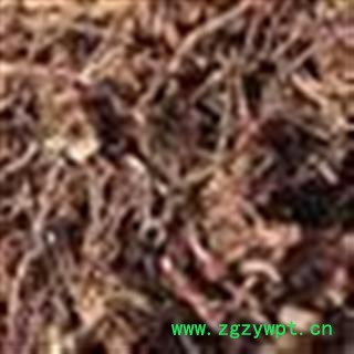 茜草 统 产地 山西省图2