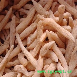 麦冬 精品麦冬 大统货 今年新货 纯干货 地道药材 产地 山东省图2