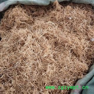 徐长卿 统 产地 山东省临沂市图2