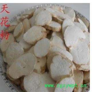 天花粉 产地直销无硫天花粉过筛,无碎渣纯干货,一手货源 产地 河北省图3