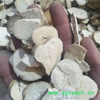 天花粉 产地直销无硫天花粉过筛，无碎渣纯干货，一手货源 产地 河北省图4