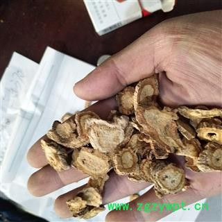 防风 籽播防风选片0.6 产地 河北省图3