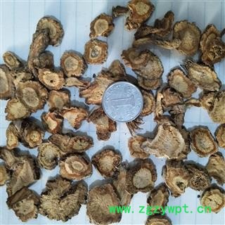 防风 籽播防风选片0.6 产地 河北省图2