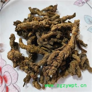 黄连 黄连单枝统货 断面黄色过筛干净无杂质保证质量产地 四川省图2