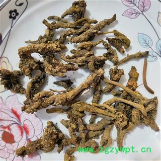 黄连 黄连单枝统货 断面黄色过筛干净无杂质保证质量产地 四川省图3