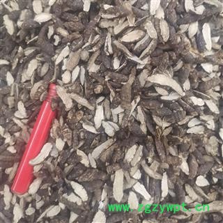 香附 广东香附选片 产地 广东省图3