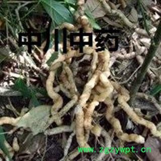 巴戟天  广东一级选货  库存5000可售图3