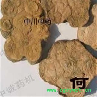 何首乌，四川一级野生精选货，库存5000可售图3