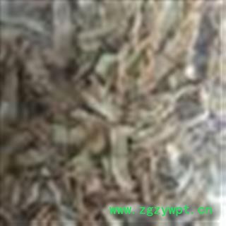 玉竹 统 产地 湖南省图2