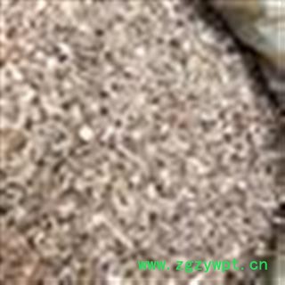 板蓝根 小统货 颜色白 抓药方 打粉均可  产地 山东省图2