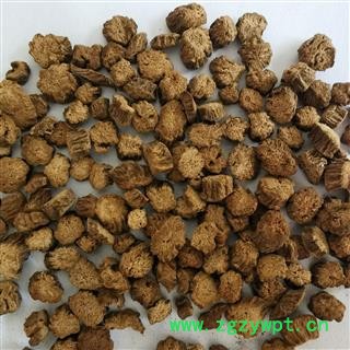 牛蒡茶 产直销新货炒牛蒡茶圆片大小匀称 产地 山东省图2
