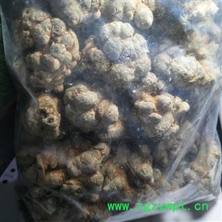 三七 三七20头 产地 云南省图3