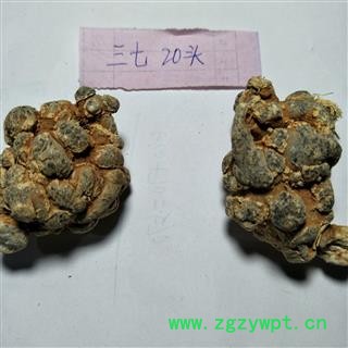 三七 三七20头 产地 云南省图2