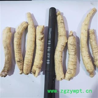 西洋参 新到西洋参个，纯干无硫磺无虫蛀无药残留实物拍摄 产地 吉林省图2